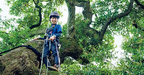 樹木人|庭木から街路樹、山林まで…樹木を守るスペシャリスト「樹木医。